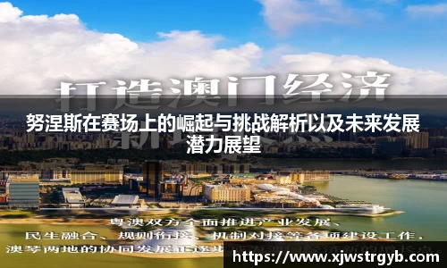 努涅斯在赛场上的崛起与挑战解析以及未来发展潜力展望